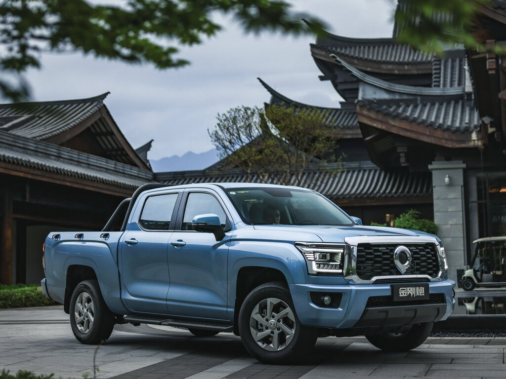 Great Wall Poer King Kong
